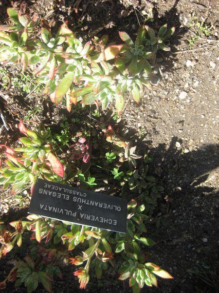 File:IMG 2159 hunt0903.jpg