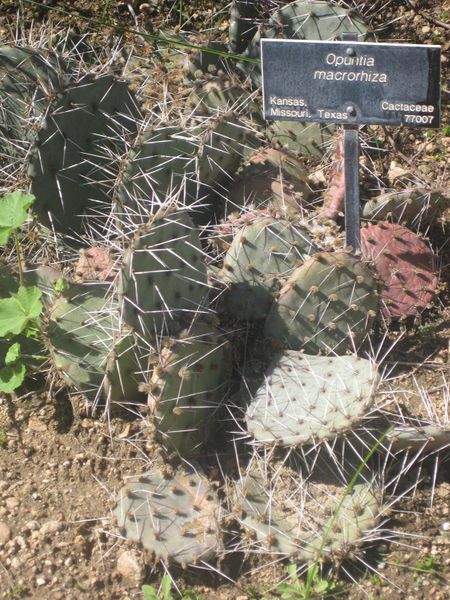 File:IMG 2311 hunt0903.jpg