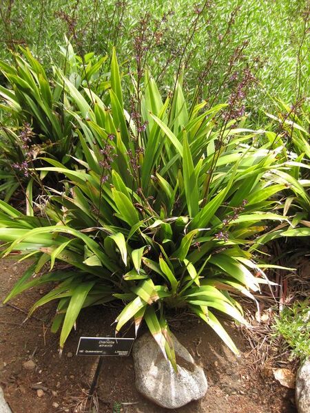 File:576px-IMG 7304 hunt09jun.jpg