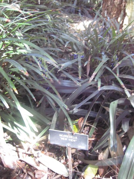 File:IMG 2041 hunt0903.jpg