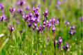 Thumbnail for version as of 20:26, 2 July 2007