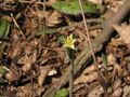 Thumbnail for version as of 09:47, 29 April 2025