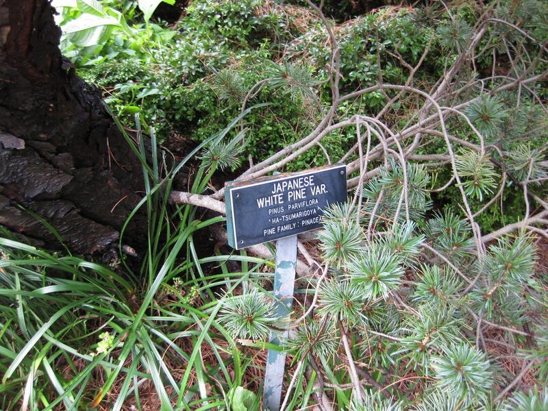 File:1280px-IMG 0691 bbg09.jpg