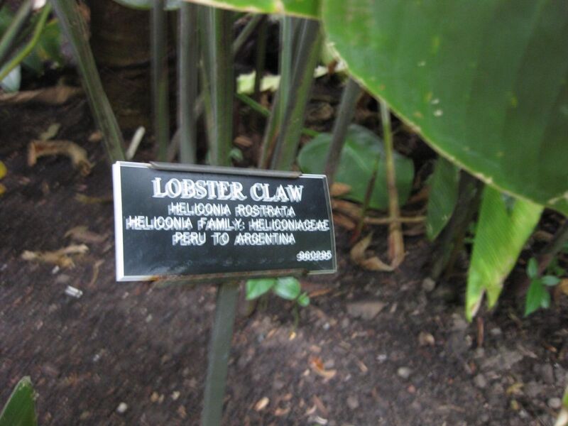 File:1280px-IMG 1061 bbg09.jpg