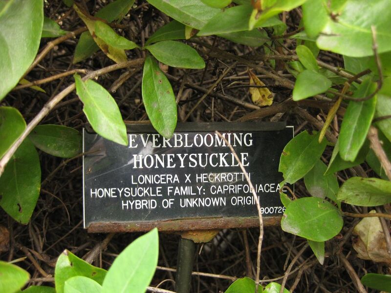 File:1280px-IMG 1375 bbg09.jpg