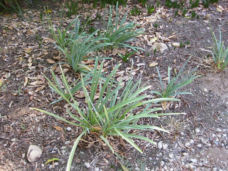 File:1280px-IMG 1882 hunt09oct.jpg