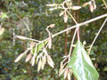 Thumbnail for version as of 04:40, 26 September 2007