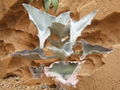 Thumbnail for version as of 04:35, 15 April 2007