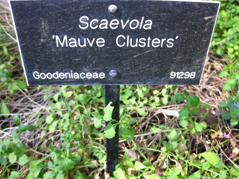 File:1280px-IMG 2094 hunt09oct.jpg