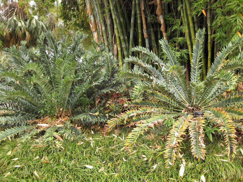 File:1280px-IMG 3850 hunt0904.jpg