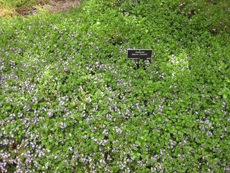 File:1280px-IMG 7317 hunt09jun.jpg