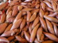 Shallots for sale in Southern France