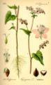 Thumbnail for version as of 11:32, 17 July 2007