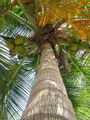 Thumbnail for version as of 16:38, 24 June 2007