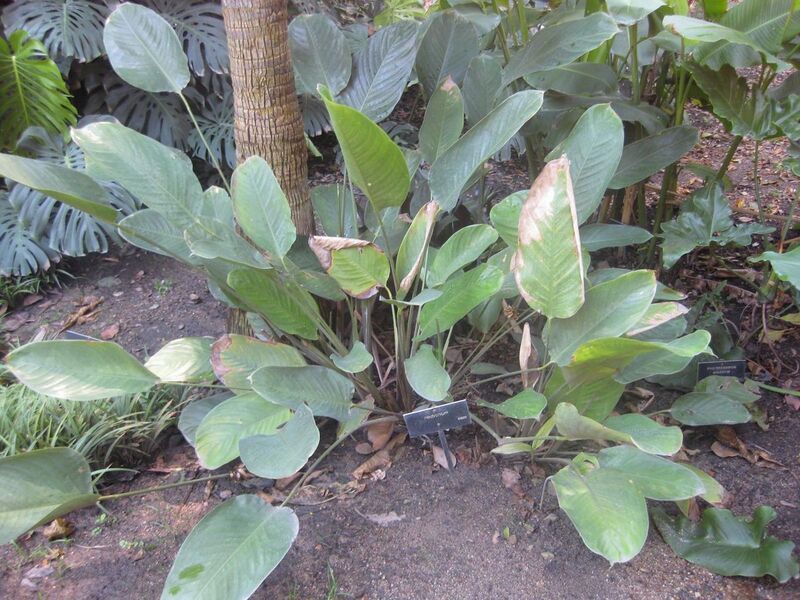 File:1280px-IMG 2014 hunt0903.jpg