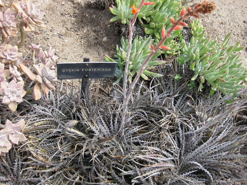 File:1280px-IMG 4457 hunt0904.jpg