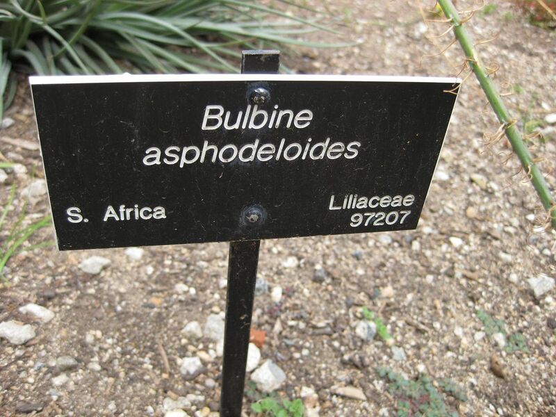 File:1280px-IMG 4906 hunt0904.jpg