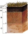 Thumbnail for version as of 09:16, 29 April 2025