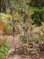 Thumbnail for version as of 10:24, 29 April 2025