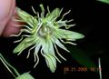 Thumbnail for version as of 16:10, 11 February 2008