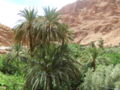 Boumalne, Morocco