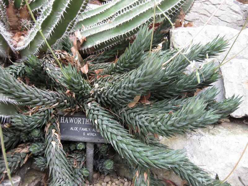 File:1280px-IMG 1267 bbg09.jpg