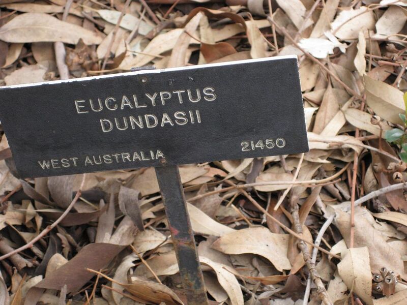 File:1280px-IMG 4870 hunt0904.jpg