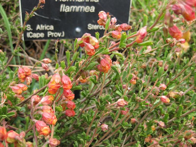 File:1280px-IMG 4915 hunt0904.jpg