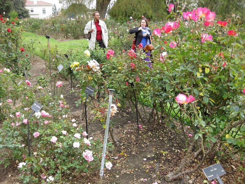 File:1280px-IMG 5362 hunt0904.jpg