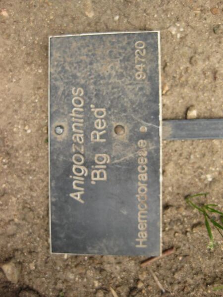 File:576px-IMG 4508 hunt0904.jpg