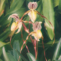 Thumbnail for version as of 10:28, 22 July 2007