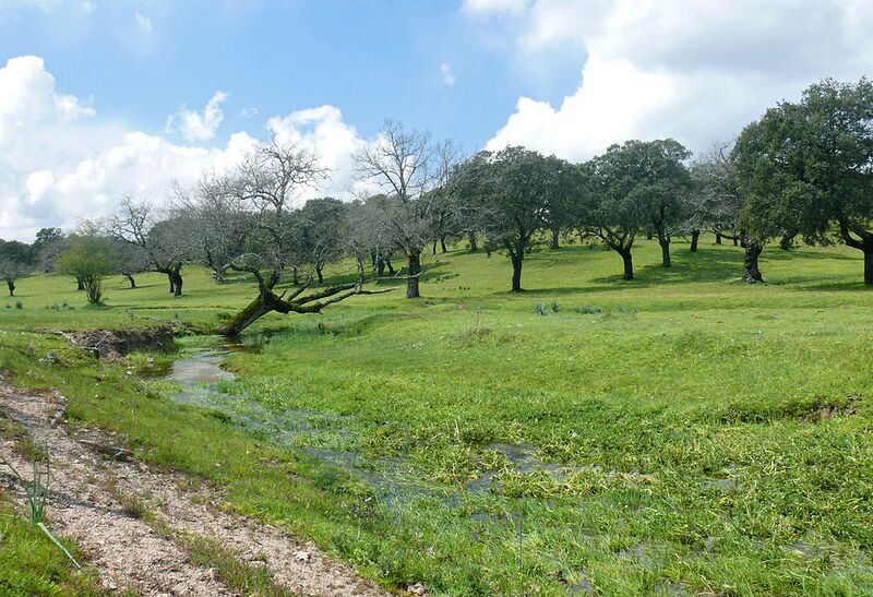File:1024px-P1010476.jpg
