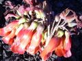 Thumbnail for version as of 09:46, 29 April 2025