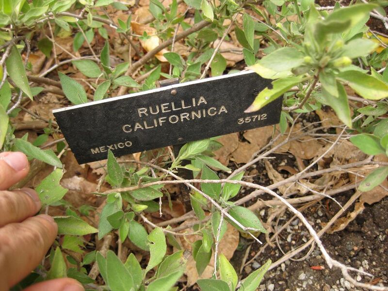 File:1280px-IMG 6986 hunt09jun.jpg