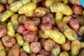 Thumbnail for version as of 17:13, 29 October 2007