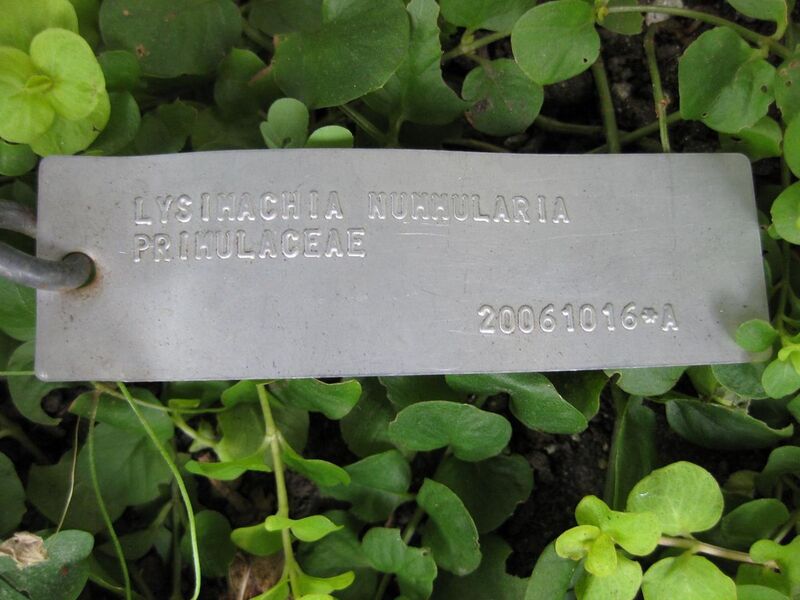 File:1280px-IMG 0641 bbg09.jpg