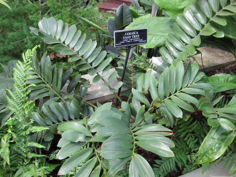 File:1280px-IMG 0918 bbg09.jpg