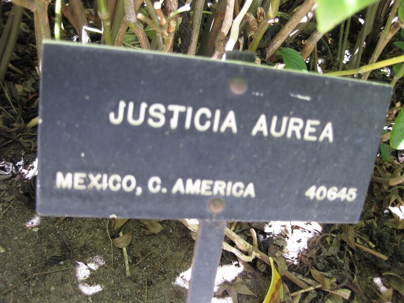 File:1280px-IMG 2003 hunt09oct.jpg