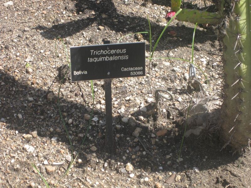 File:1280px-IMG 2291 hunt0903.jpg