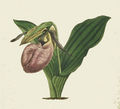 Thumbnail for version as of 09:55, 4 July 2007