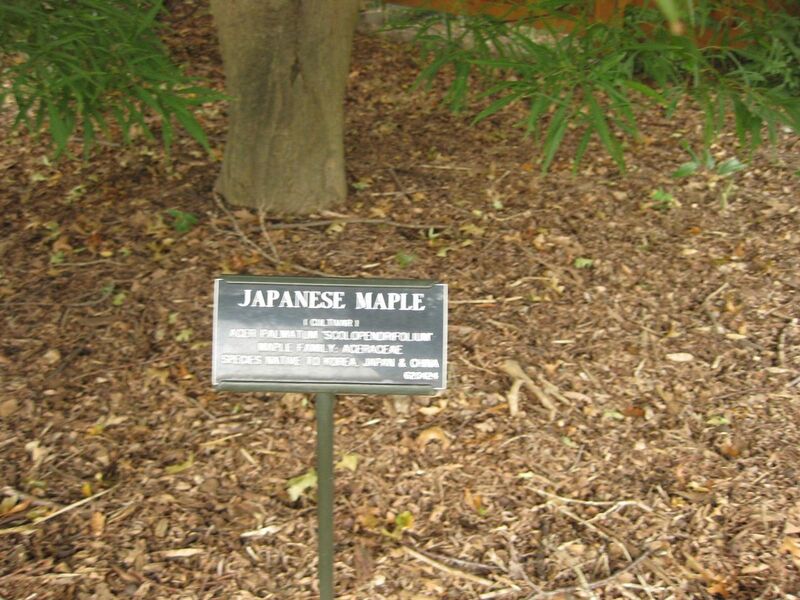 File:1280px-IMG 1427 bbg09.jpg