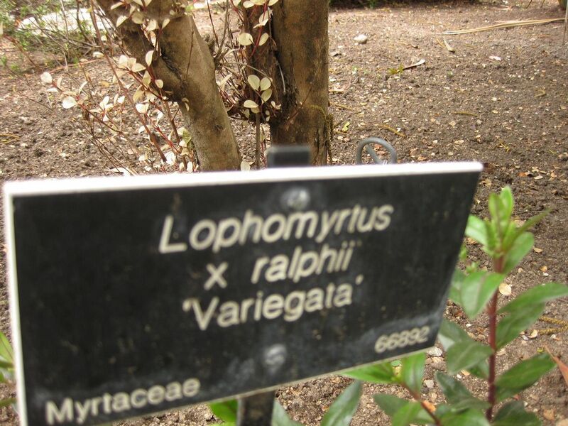 File:1280px-IMG 7348 hunt09jun.jpg