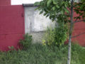 Ruderal Cannabis.