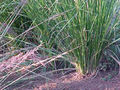 Thumbnail for version as of 10:08, 24 October 2007