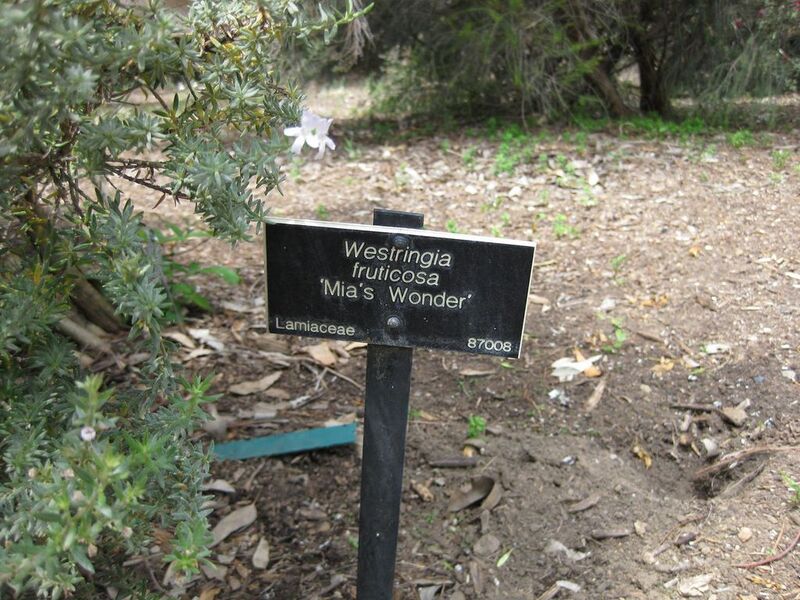 File:1024px-IMG 4523 hunt0904.jpg