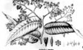 Thumbnail for version as of 09:54, 29 April 2025