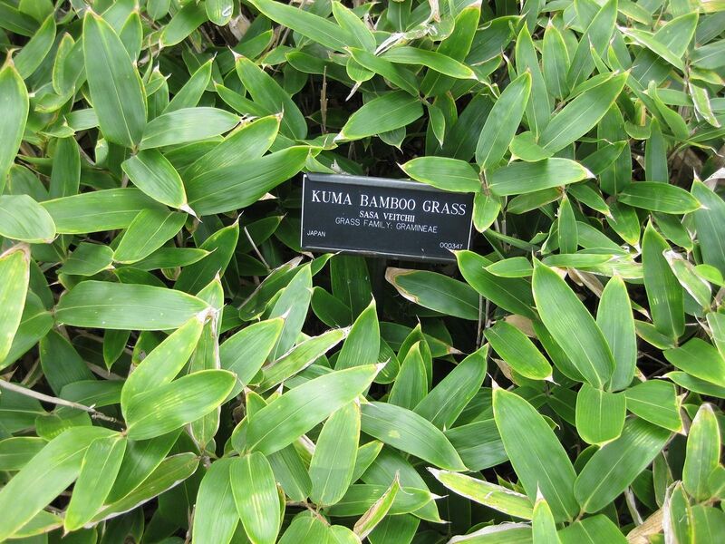 File:1280px-IMG 0649 bbg09.jpg