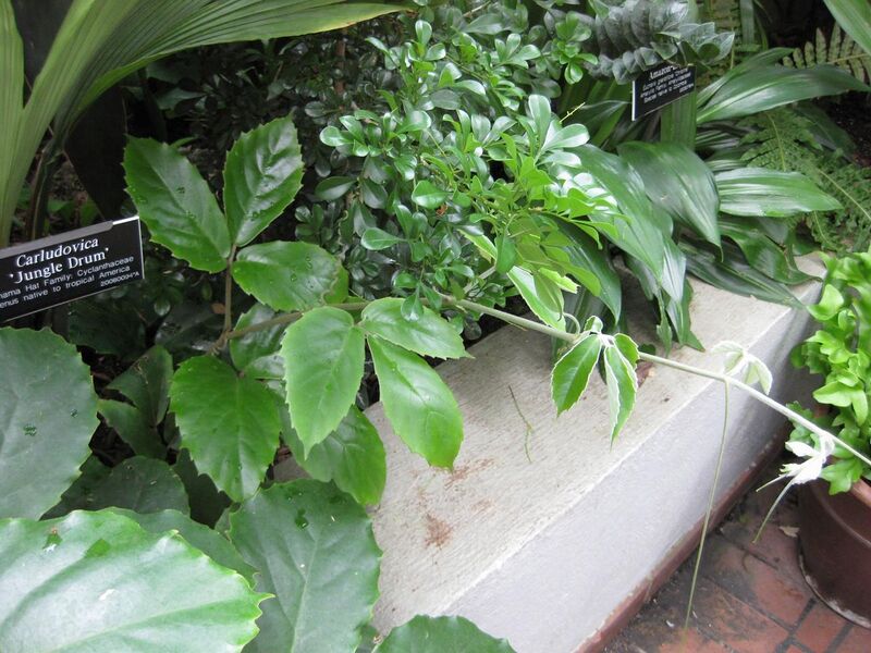 File:1280px-IMG 1040 bbg09.jpg