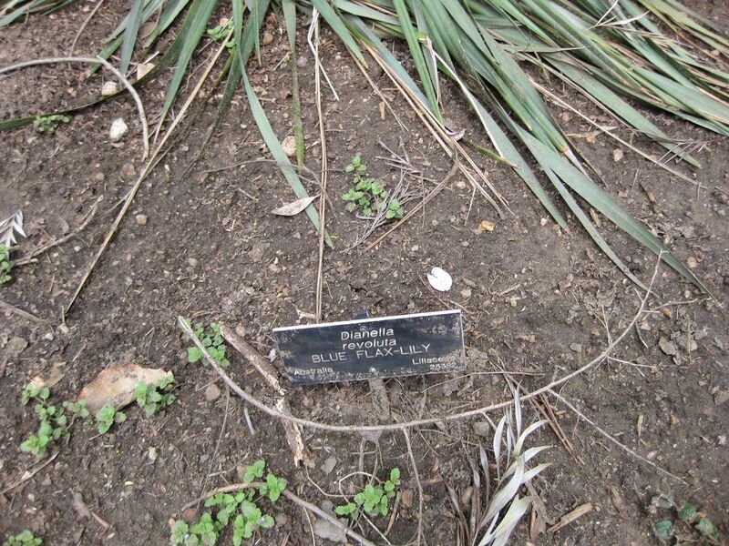 File:1280px-IMG 4548 hunt0904.jpg