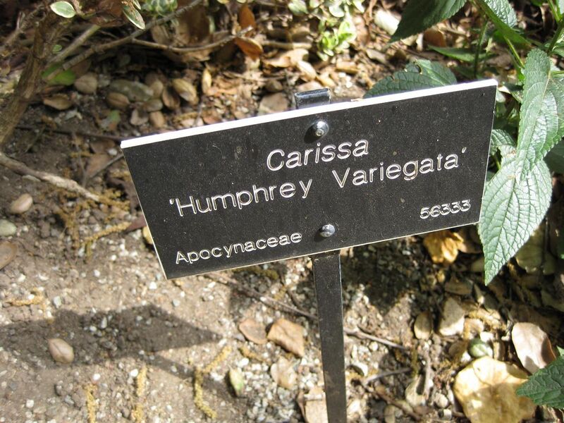 File:1280px-IMG 5125 hunt0904.jpg